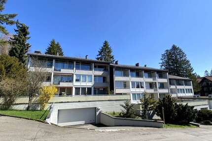 Wohnung zum Kaufen in Braunlage 79.900,00 € 56 m²
