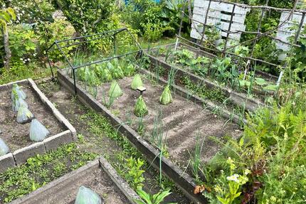 Wunderschöner Garten - 3.000,00&nbsp;EUR Kaltmiete, ca.&nbsp; 0,00&nbsp;m&sup2; in Leipzig (PLZ: 04279) Süd