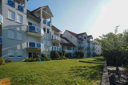 Wohnung zum Kaufen in Pirna 87.000,00 € 44.54 m²