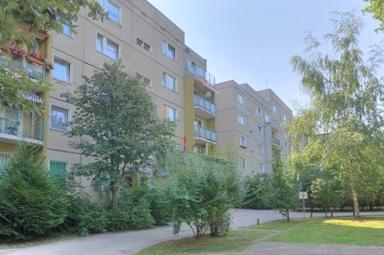 frisch renovierte Singlewohnung zum Juni 2026 - Halle (Saale) Damaschkestraße