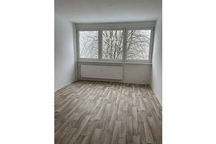 Wohnung zum Mieten in Neubrandenburg 250,00 € 24 m²