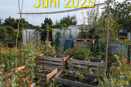 Kleingarten in Hattorf ab sofort abzugeben - Wolfsburg Detmerode