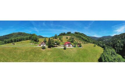 Ferienhaus im Schwarzwald - Bauernhof in traumhafter Lage - Oppenau