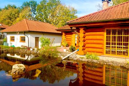 Holzhaus im Naturschutzgebiet zu vermieten - Bruchmühlbach-Miesau