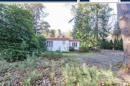Rückzugsort im Grünen - Bungalow auf sonnigem Waldgrundstück - Buchholz in der Nordheide Holm-Seppensen