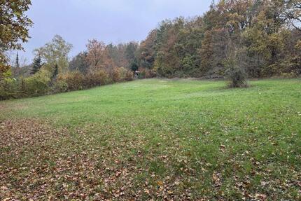 VERPACHTUNG FREIZEITGRUNDSTÜCK DISTELBERG FERNBLICK SÜDHANG - Pettstadt