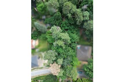 Grundstück zu verkaufen in Rangsdorf 350.000,00 € 1237 m²