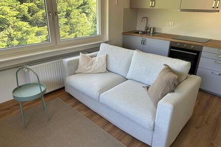 2-Zimmer-Wohnung mit Küche und Bad voll möbliert ab sofort - Seebach