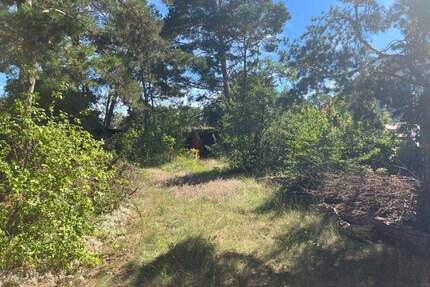 Interessantes Wohnbaugrundstück in Vogelsdorf - Fredersdorf-Vogelsdorf