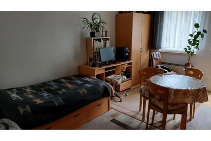 1 Zimmerappartement - 400,00&nbsp;EUR Kaltmiete, ca.&nbsp; 31,00&nbsp;m&sup2; in Kaiserslautern (PLZ: 67663) Bahnheim