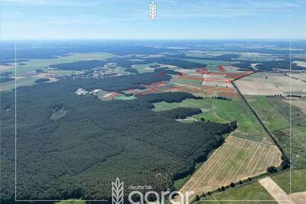 Grundstück zu verkaufen in Beelitz Elsholz 212.900,00 € 268749 m² - Beelitz / Elsholz