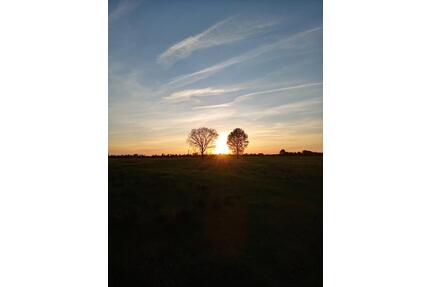 Grundstück in EdewechtHusbäke, Teilfläche Bauland zu 85,-- € pro m²