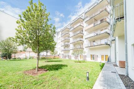 Kuscheliges Studio-Apartment zur Miete in Dresden-Neustadt | Wentzel Dr.
