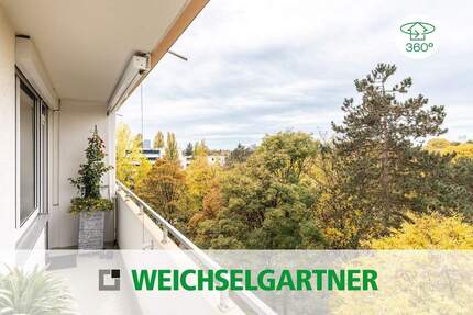 Bezugsfreie, lichtdurchflutete Wohnung mit großen Fenstern und West-Balkon - München Bogenhausen