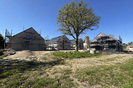 Wohnung zum Kaufen in Stein b Laboe 545.000,00 € 106.4 m²