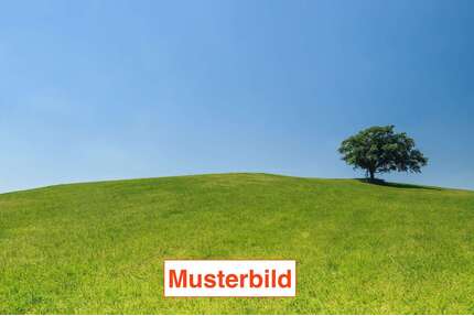 Grundstück zu verkaufen in Usingen 585.000,00 € 814 m²