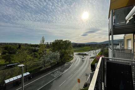 Wohnung zum Kaufen in Geisenheim 169.000,00 € 50 m²