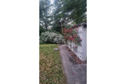 Bungalow - Eigentum - Pretzien zu verkaufen - Schönebeck (Elbe)