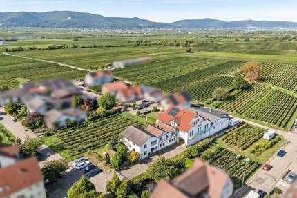 Haus zum Kaufen in Kirrweiler 999.000,00 € 686 m²