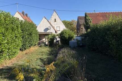 Haus zum Kaufen in Wachenheim 259.000,00 € 100 m²