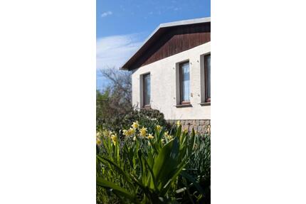 Kleingarten Schrebergarten mit Laube an Alter Mulde (Angler) - Delitzsch