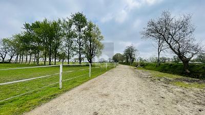 RESTHOF AM REITERHOF - 799.000,00&nbsp;EUR Kaufpreis, ca.&nbsp; 280,00&nbsp;m&sup2;&nbsp;Wohnfl&auml;che in Oldersbek (PLZ: 25873)