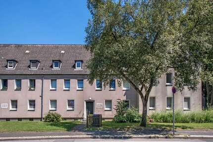 Wohnung zum Mieten in Gelsenkirchen 279,00 € 35 m²