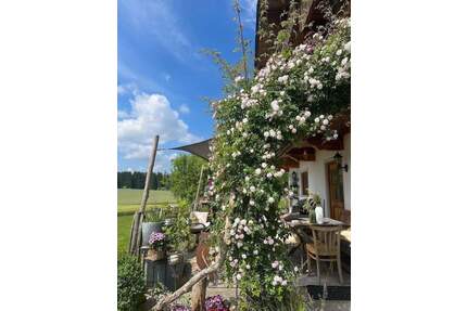 Platz für 2 Familien, 530 m² Wohn und Nutzfläche, 4146 m² Grund Plus Gr. Halle - Aßling Hochreit