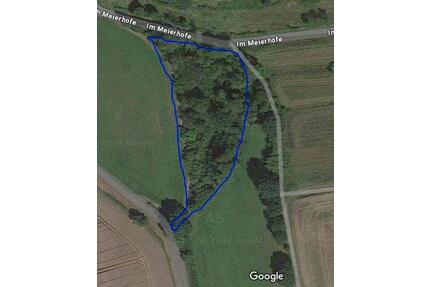 Grundstück mit Quelle für Naturliebhaber abzugeben - Uslar