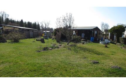 Großer Garten zum Topen für die kleinen. - Eilenburg