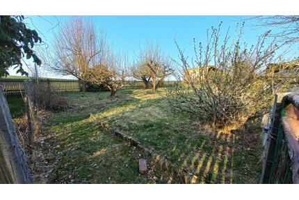 440 m² Garten zum Erholen und Verwirklichen - Limbach-Oberfrohna