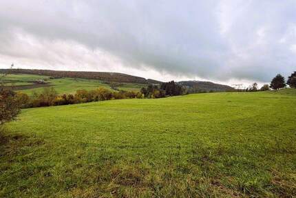 WIESE Nähe Weißenburg OT Niederhofen Gänswirtshaus - Weißenburg Oberhochstatt