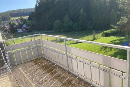 Bubenbach - Schöne 3- Zimmer Erdgeschosswohnung zu vermieten (4) (ID142) - Eisenbach (Hochschwarzwald)