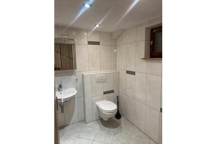 1 Zimmer Wohnung, Erstbezug nach Sanierung, Teilmöbliert - Pliezhausen