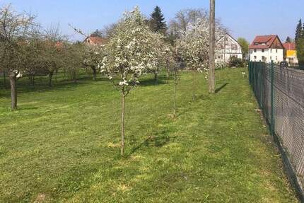 Großzügiges Grundstück mit vielseitigen Bebauungsmöglichkeiten - Affalterbach