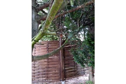 Kleiner Garten, wie Wochenendgrundstück ! Kein Kleingarten!!! - Tarmstedt