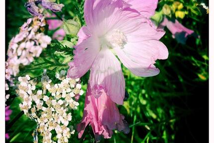 Für die große Familie - 522.000,00&nbsp;EUR Kaufpreis, ca.&nbsp; 240,00&nbsp;m&sup2; in Dülmen (PLZ: 48249)