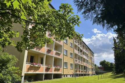 Wohnung zum Mieten in Thalheim 298,00 € 62 m²