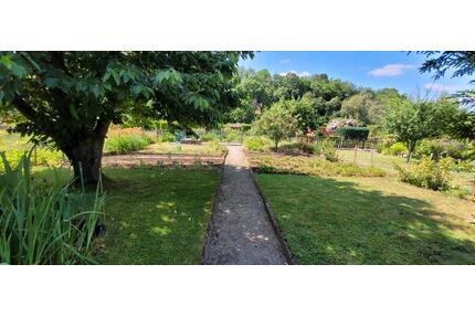 Kleingarten Pirna Zehista - 3.700,00&nbsp;EUR Kaltmiete, ca.&nbsp; 0,00&nbsp;m&sup2; in Pirna (PLZ: 01796)