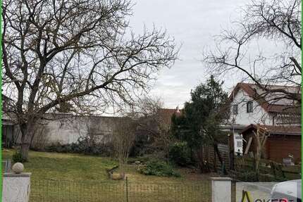 Grundstück zu verkaufen in Hambrücken 126.000,00 € 280 m²