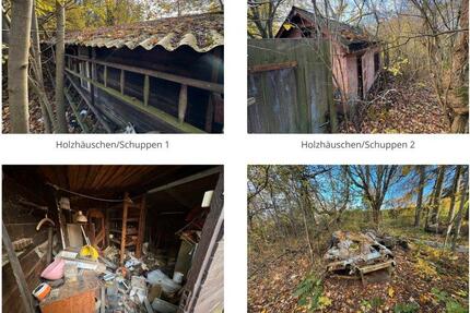 Freizeitgrundstück mit 2 Schuppen zu verpachten - Sebnitz