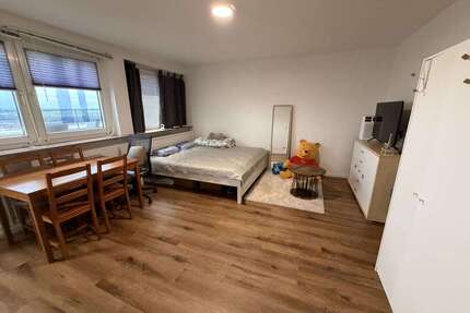 Wohnung zum Mieten in Hanau 500,00 € 33.43 m²