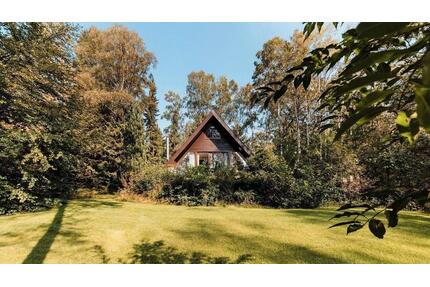 Last Minute⭐ Ferienhaus ❤️ Alleinlage Wald Natur Kamin - Sprakensehl
