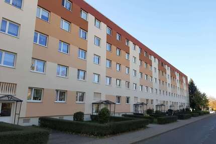 Wohnung zum Mieten in Aue 350,00 € 50 m²