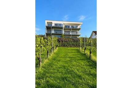 Wohnung zum Mieten in Bad Bellingen 1.280,00 € 73.69 m²