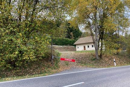 Einfamilienhaus zum Sanieren - 210.000,00&nbsp;EUR Kaufpreis, ca.&nbsp; 140,00&nbsp;m&sup2; in Neukirchen bei Heiligen Blut (PLZ: 93453)
