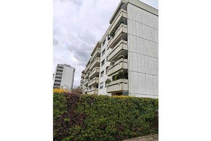 1 ZW in Ettlingen Neuwisenreben