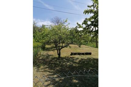 Obstbaumwiese zu verpachten - 25,00&nbsp;EUR Kaltmiete, ca.&nbsp; 0,00&nbsp;m&sup2; in Metzingen (PLZ: 72555)