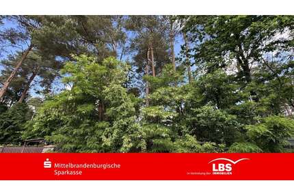 Haus zum Kaufen in Wandlitz 260.000,00 € 25 m²