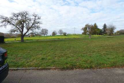 Grundstück zu verkaufen in Mühlacker 180.500,00 € 361 m²